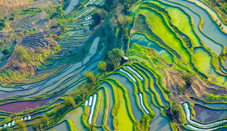 走进鼎湖区TVC拍摄：解锁本地化场景与创意镜头的完美融合